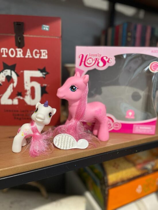 Set Ponei cu accesorii My little Pony