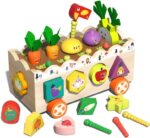 Puzzle educativ Gradina cu legume pentru pescuit