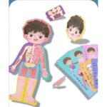 carte-magnetica-puzzle-educativ-anatomia-corpului