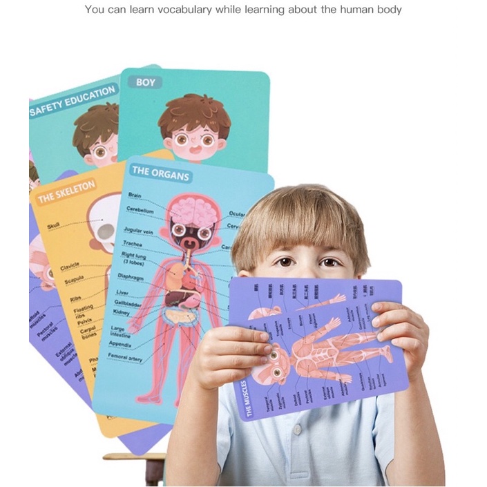 carte-magnetica-puzzle-educativ-anatomia-corpului