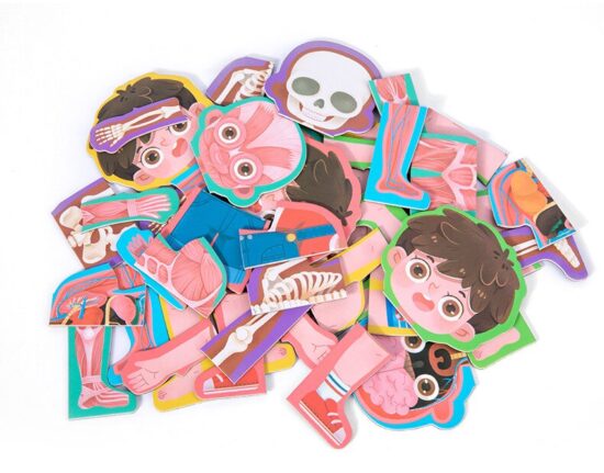 carte-magnetica-puzzle-educativ-anatomia-corpului