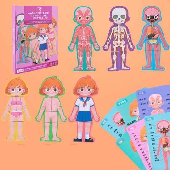 carte-magnetica-puzzle-educativ-anatomia-corpului