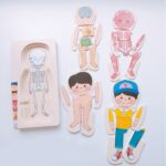Puzzle din lemn in straturi Anatomia corpului uman Copii