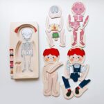 Puzzle din lemn in straturi Anatomia corpului uman Copii