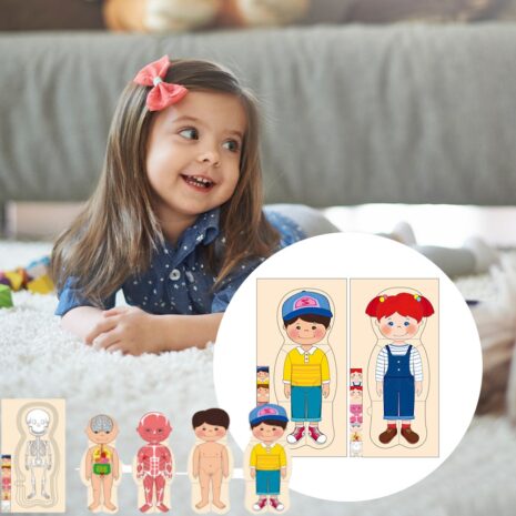 Puzzle din lemn in straturi Anatomia corpului uman Copii