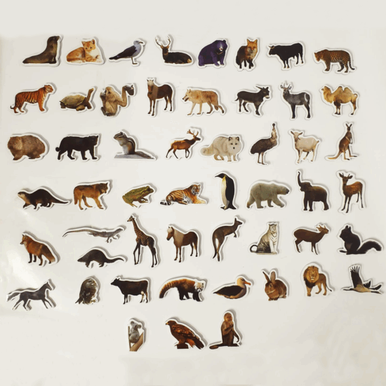 Animale Padure magnetice Piese Educative din Spuma