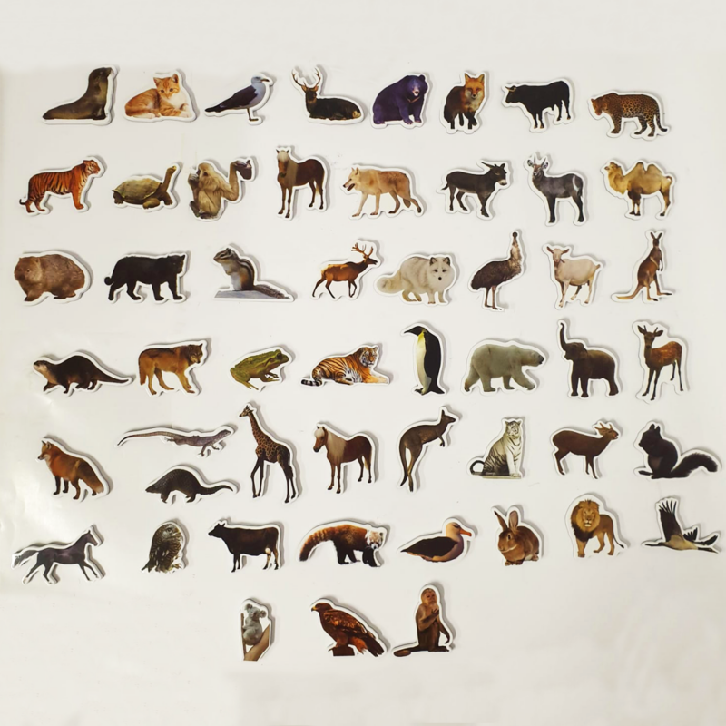 Animale Padure magnetice Piese Educative din Spuma