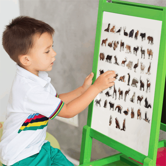 Animale Padure magnetice Piese Educative din Spuma