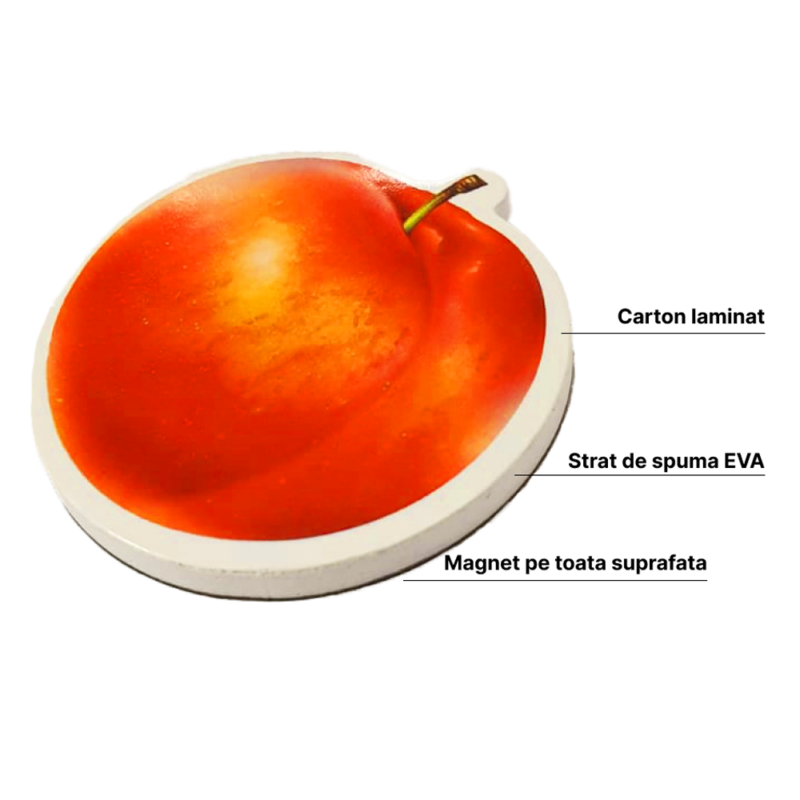Fructe magnetice Piese Educative din Spuma EVA