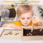 Joc Puzzle Kit Stiintific Scheletul Dinozaurului in Pamant