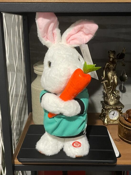 Iepurasul Vorbeste Repeta Danseaza Jucarie interactiva