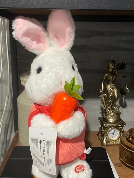 Iepurasul Vorbeste Repeta Danseaza Jucarie interactiva