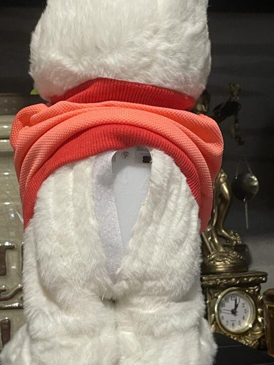 Iepurasul Vorbeste Repeta Danseaza Jucarie interactiva