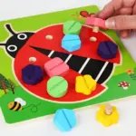 Joc Montessori Asociere Buburuza cu suruburi colorate