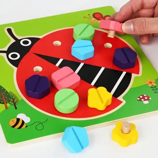 Joc Montessori Asociere Buburuza cu suruburi colorate