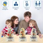 Racheta-Montessori-Joc-motric-cu-Labirint-Busy-Board