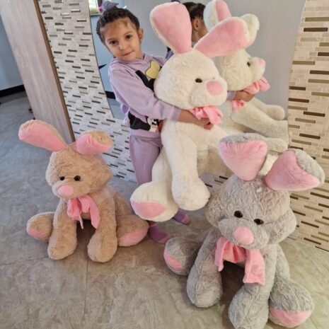 Iepurasul plus moale Animalute desene animate 80cm