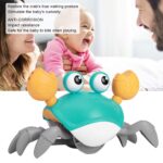 Jucarii baie Bebelusi Crabul cu mecanism care Inoata