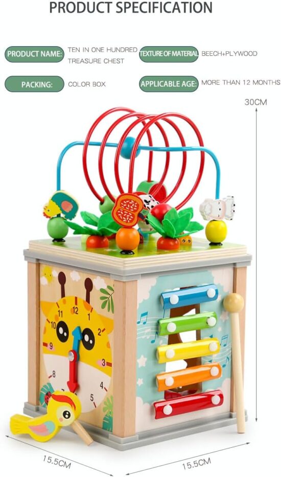 Cub Montessori 10in1 Activitati Pescuit Xilofon Sortare Joc logic