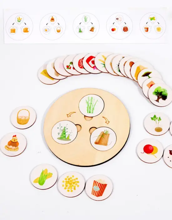 Joc Montessori lemn Evolutia lucrurilor tip Puzzle Ciclul vietii