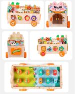 Joc Montessori Vehicul multifunctional Pescuieste Sorteaza forme