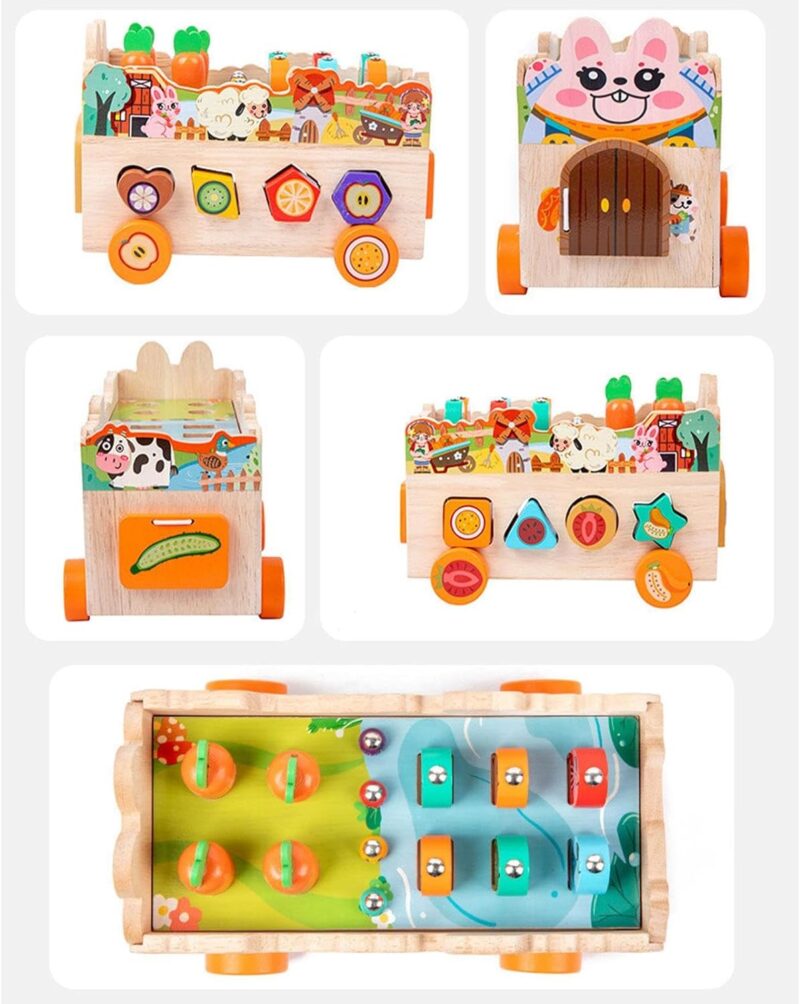 Joc Montessori Vehicul multifunctional Pescuieste Sorteaza forme