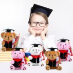 Jucarii plus Ursuletul breloc care a absolvit scoala Premiat