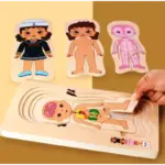 Puzzle din lemn in straturi Meseriile Anatomia corpului uman