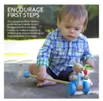 Jucarie de impins Iepurasul Peter cu morcov Orange Tree Toys