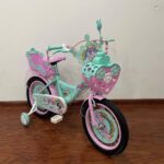 Bicicleta cu cos Printesa Verde Scaun pentru papusi Roti ajutatoare