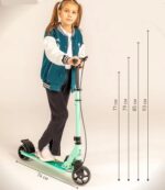 Trotineta pliabila Verde Frana de mana Spate Scooter cu Lumini