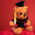 Jucarie plus Ursuletul imbracat in costum de Absolvire cu ochelari