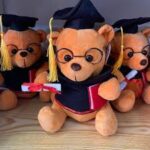 Jucarie plus Ursuletul imbracat in costum de Absolvire cu ochelari