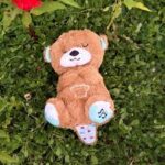 Jucarii plus Ursulet Lampa de veghe cu sunete si vibratii Respira