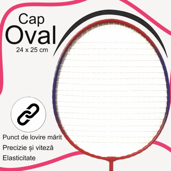 Set Palete Badmington Rachete cu fluturasi si minge moale cu pene