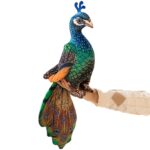 Jucarie din plus Paunul decorativ Pasare tropicala exotica copii