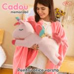 Set Unicorn cu Perna de dormit si Paturica pliabila pufoasa din plus